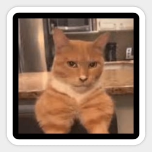 mewing meme looksmax cat funny Sticker